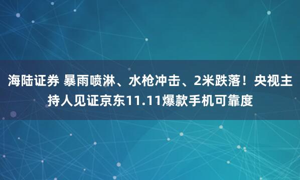海陆证券 暴雨喷淋、水枪冲击、2米跌落！央视主持人见证京东11.11爆款手机可靠度